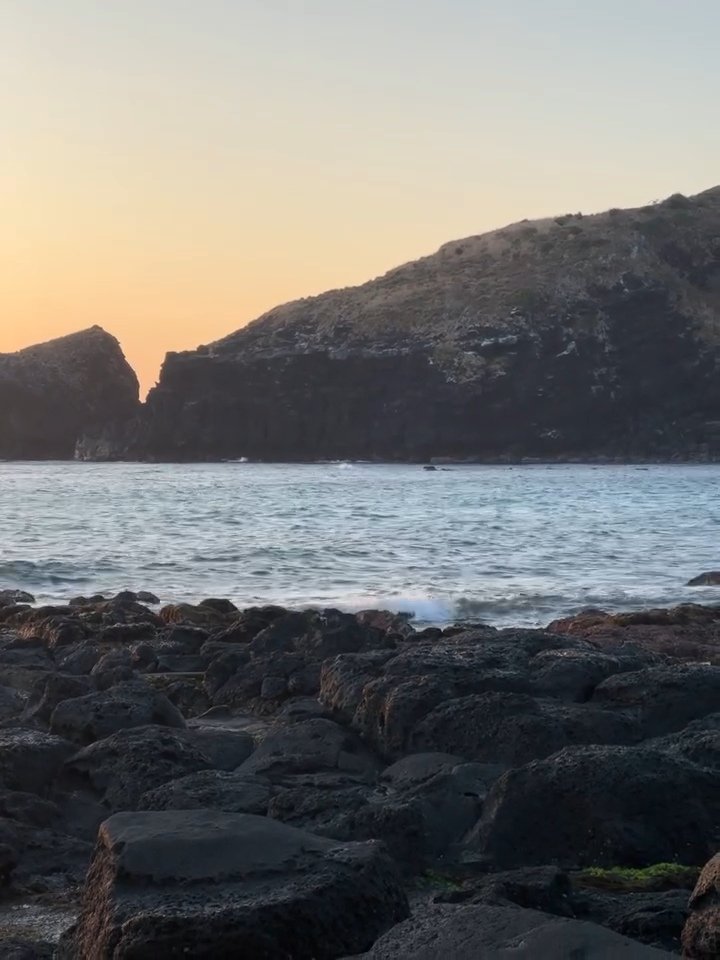 피치집 tweet media