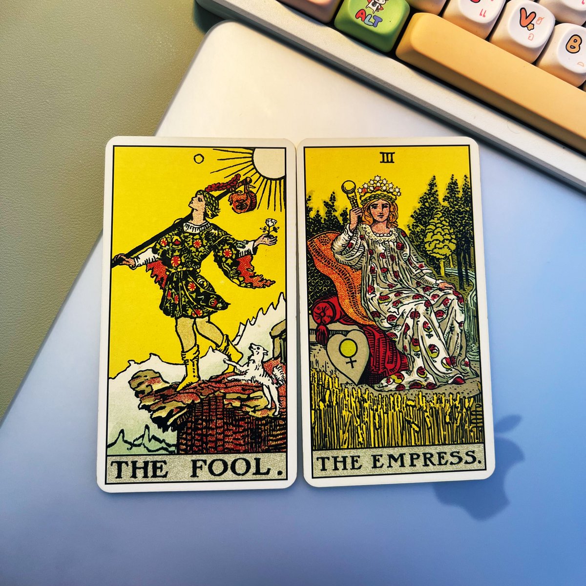 ⚡️นักเรียนหมอ * full time 🔥 tweet media