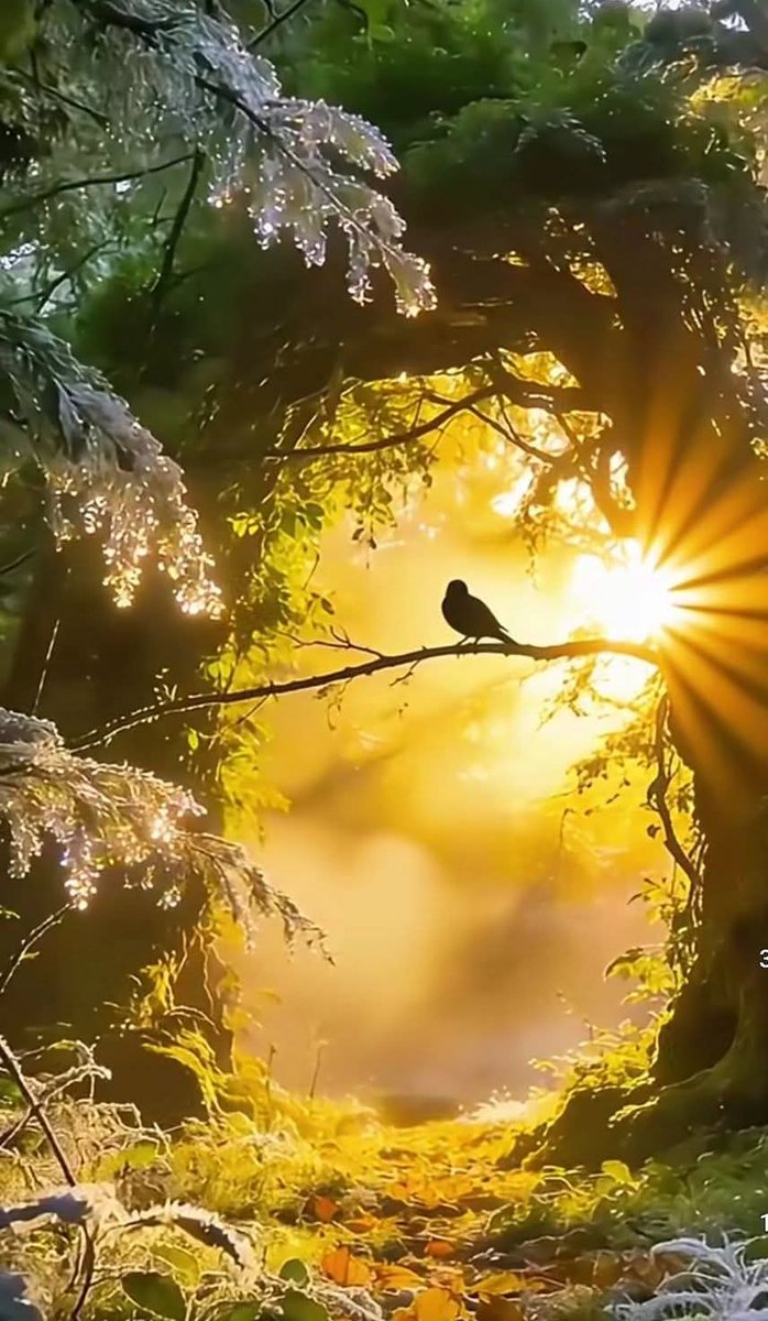 Sonia Álvaro tweet media