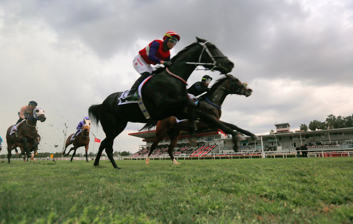 Kadir Çivici tweet media