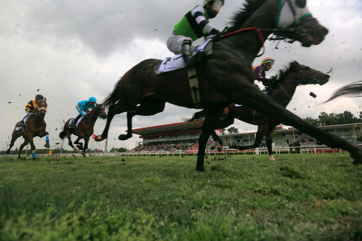 Kadir Çivici tweet media