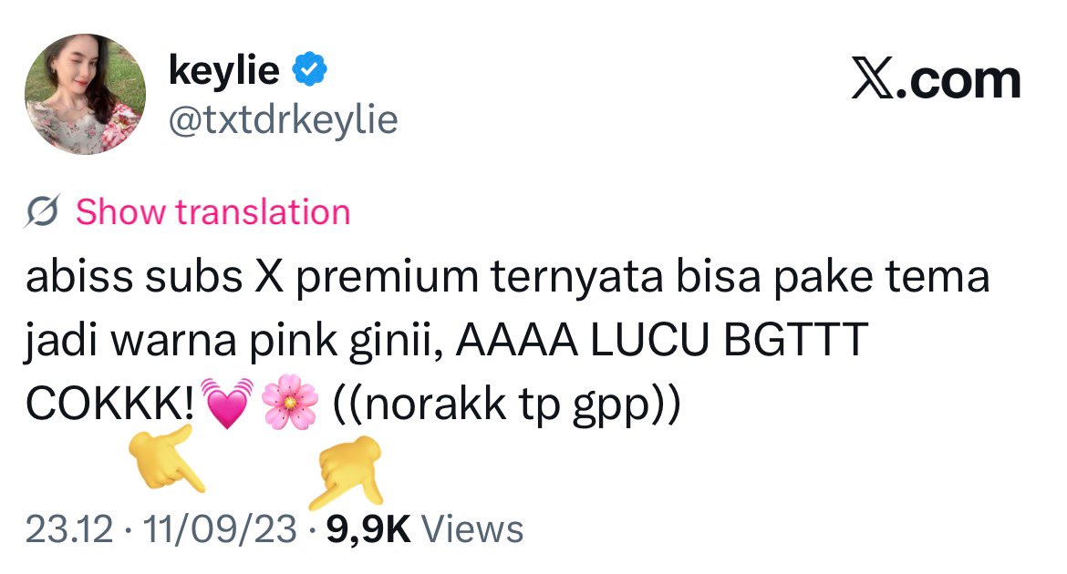 keylie tweet media
