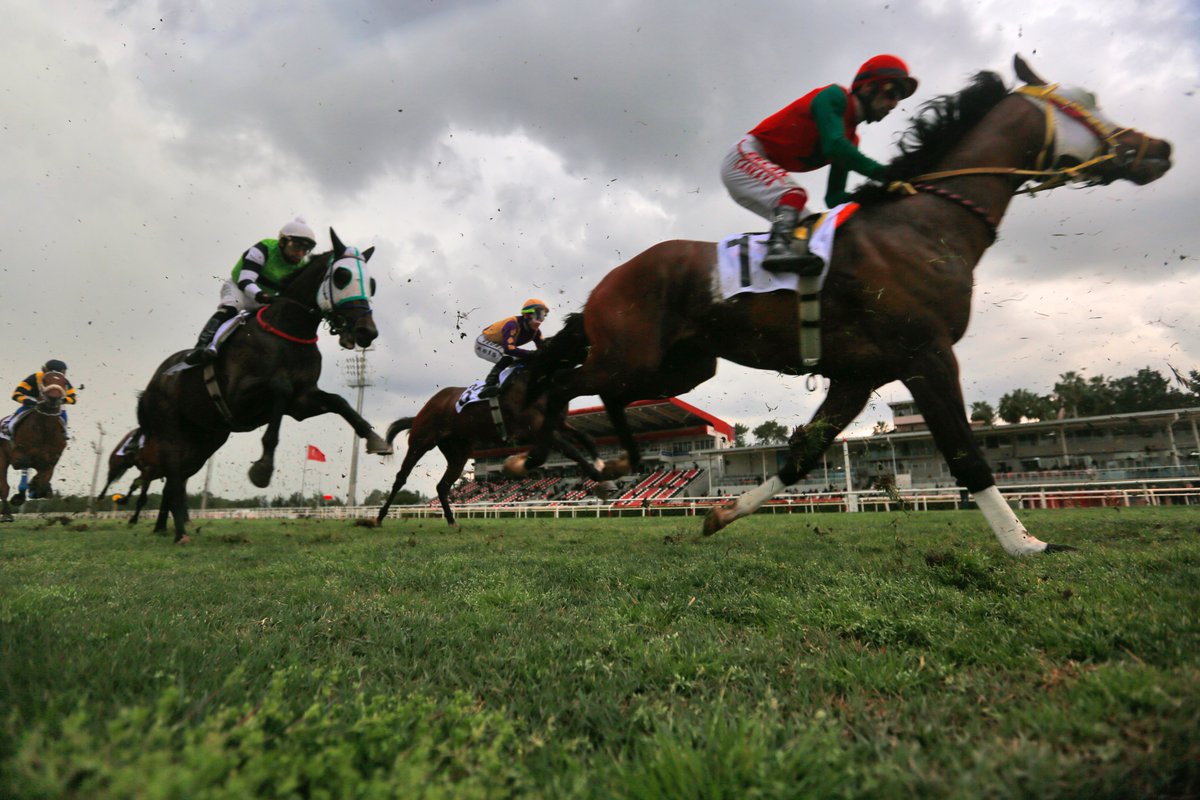 Kadir Çivici tweet media