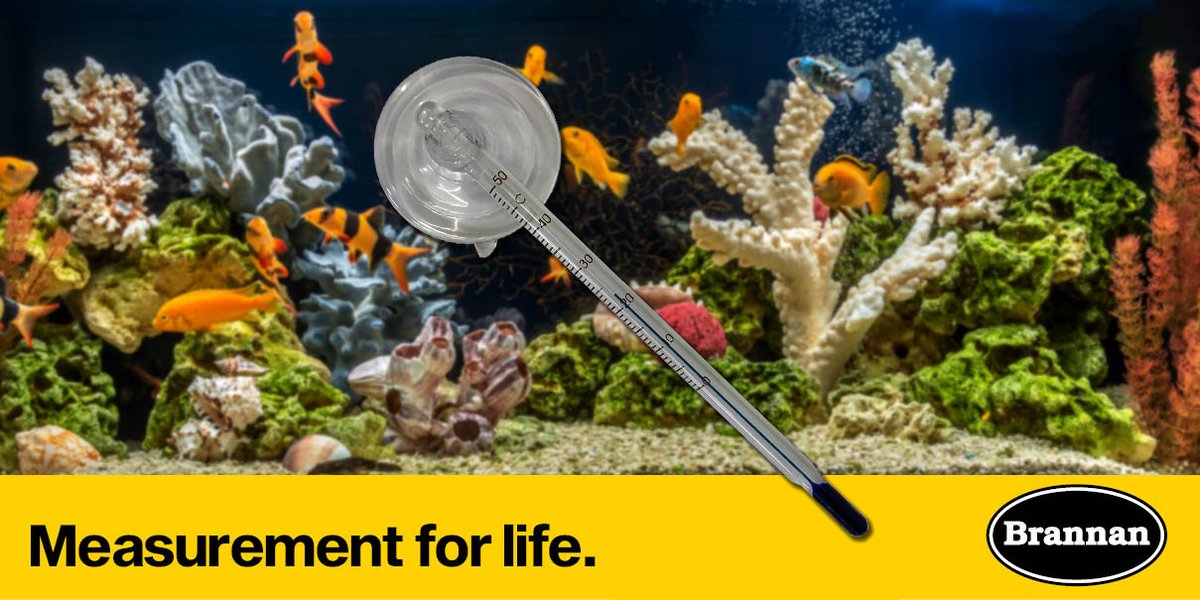 Brannan's glass aquarium thermometer is a simple and effective tool to monitor the water temperature in fish tanks/aquariums. 
Buy now >>>lnkd.in/e8ZpbbKh 
hashtag#aquarium hashtag#fishcare hashtag#brannan