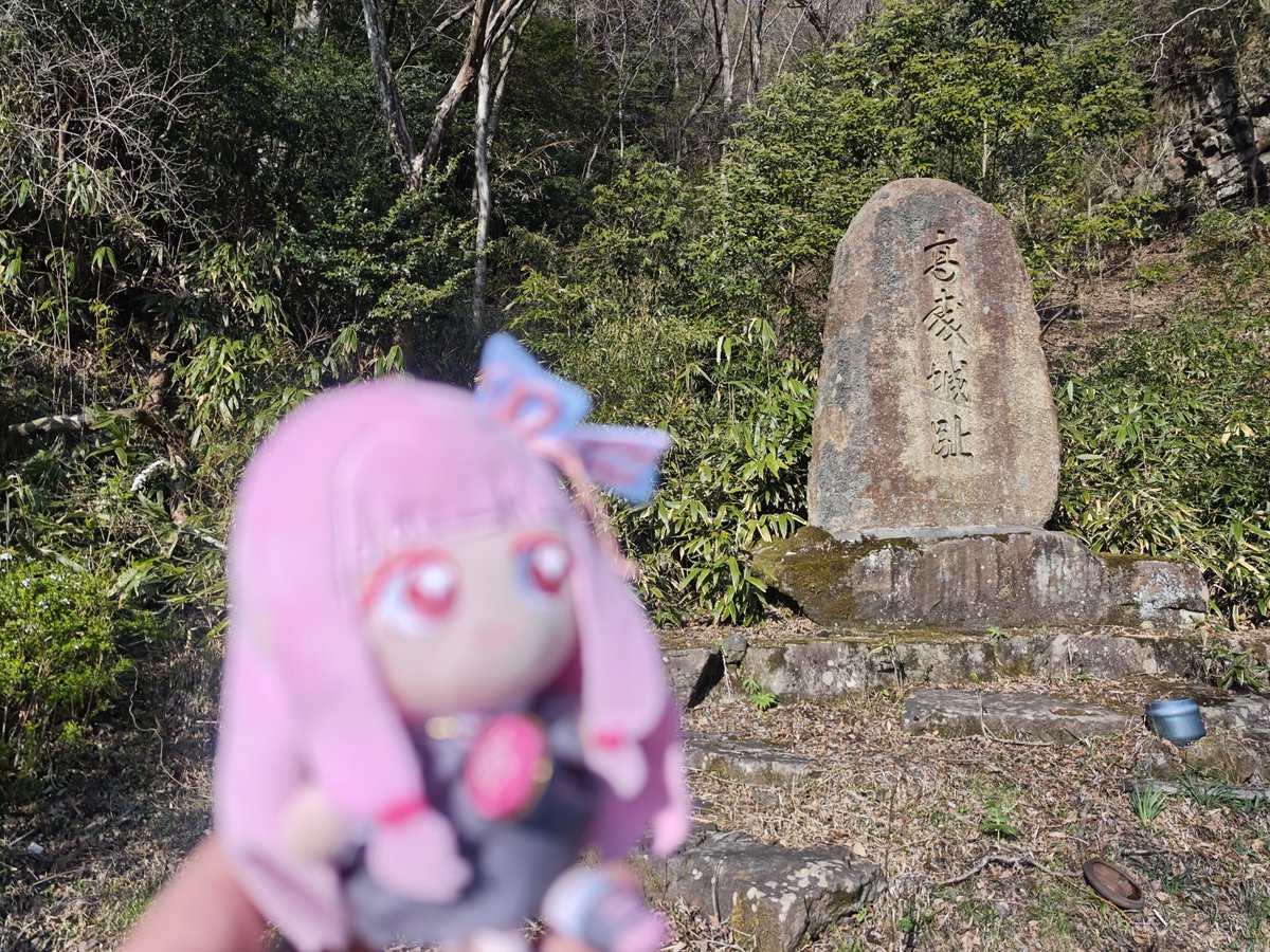 (ぽん) tweet media