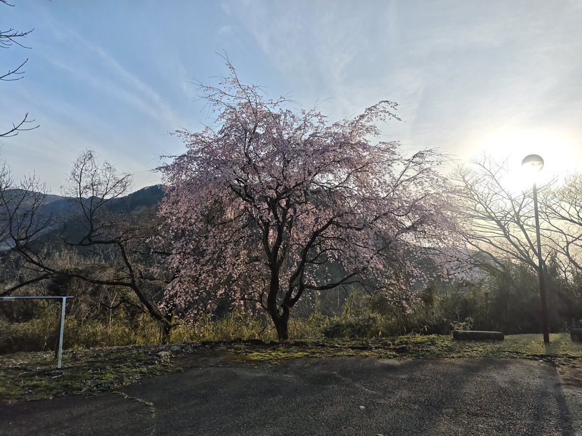 (ぽん) tweet media