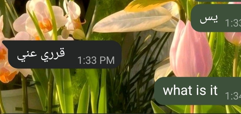 mei 𓋜 tweet media