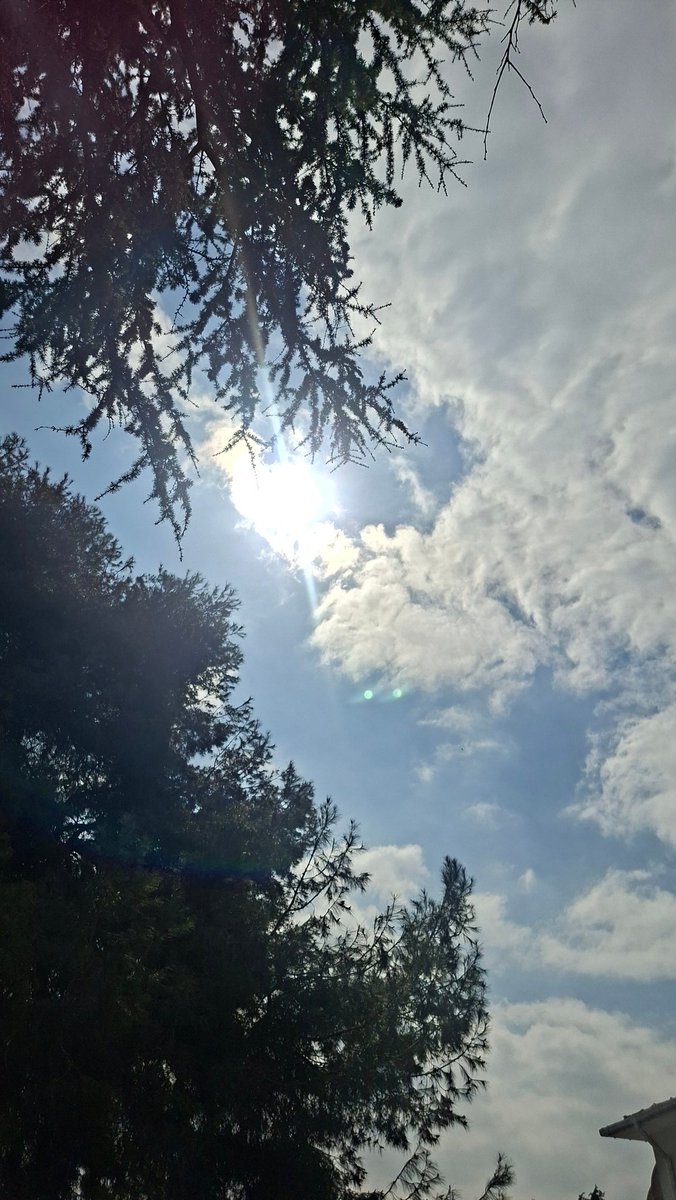 GeceSakini tweet media