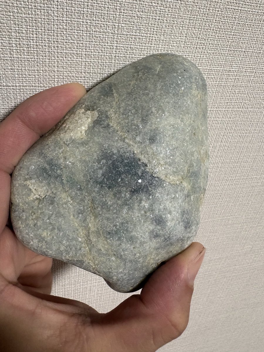 ふなべた tweet media