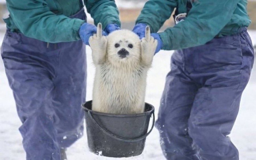 DeadLink tweet media