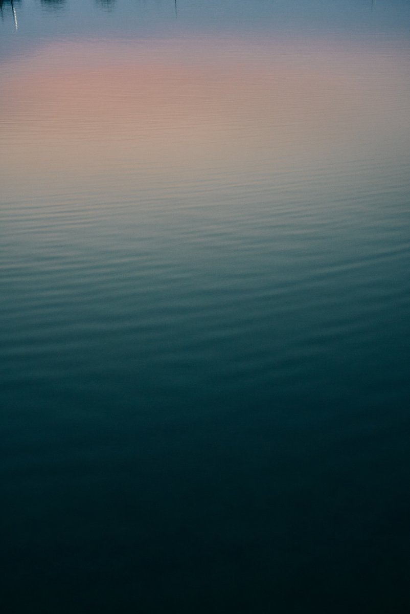 真道 健志 / Shindo Takeshi tweet media