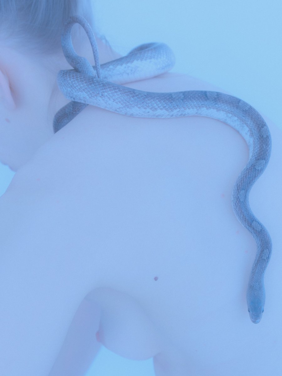 DigitalArtOfHope tweet media