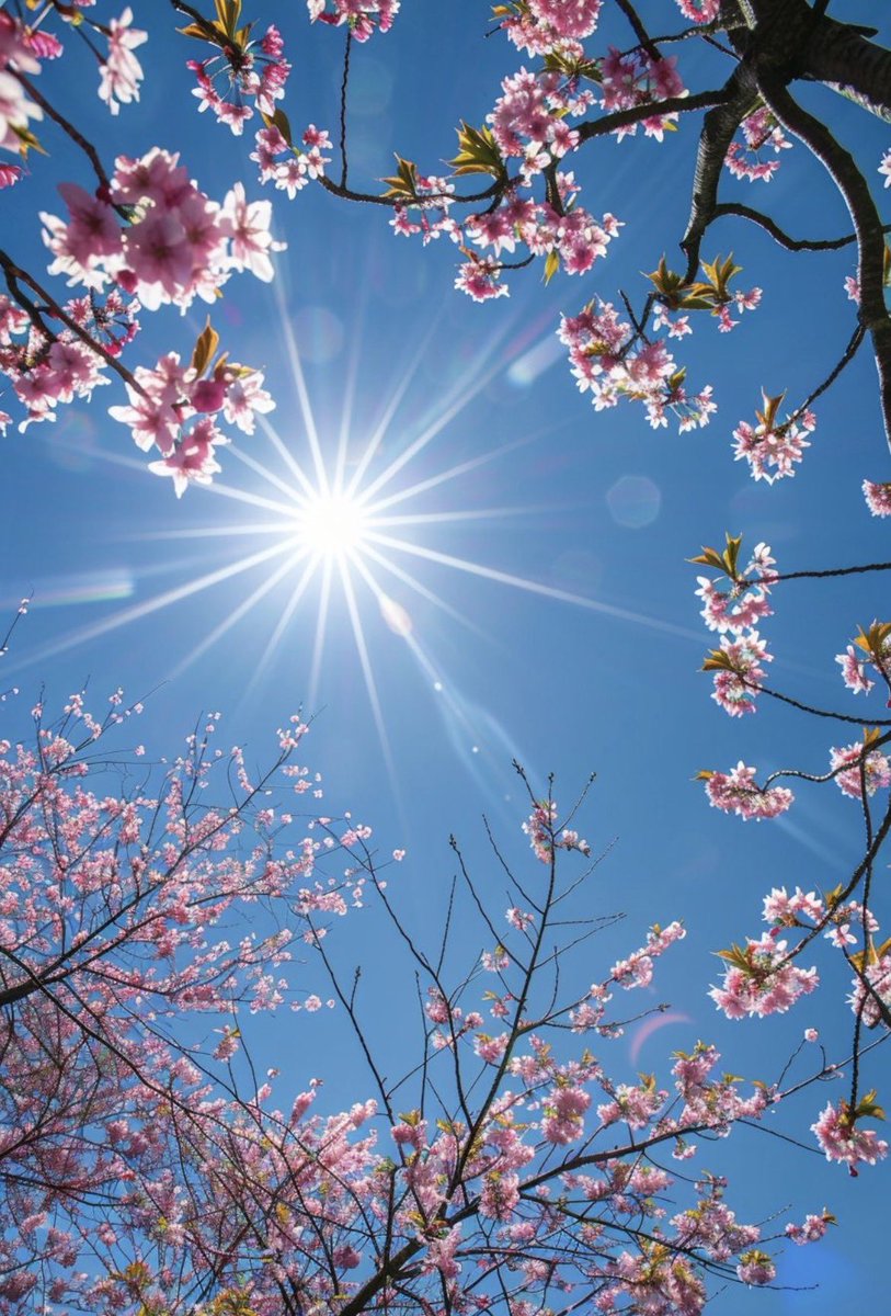 💫♥️Kay ♥️💫 tweet media