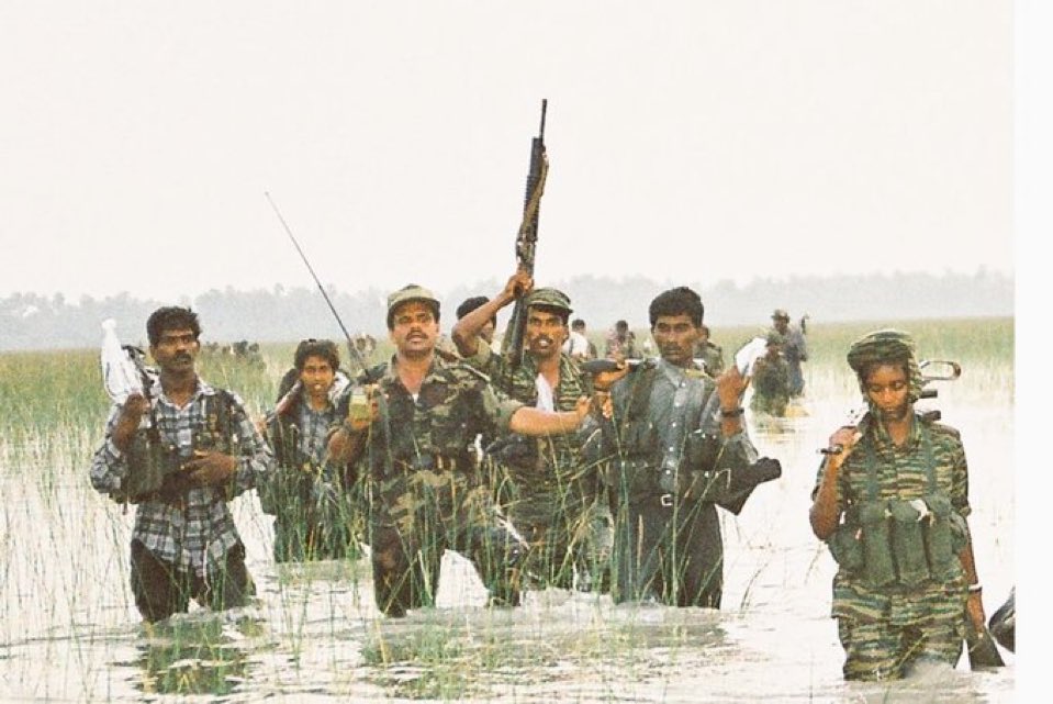 SanJeevan1721 tweet media