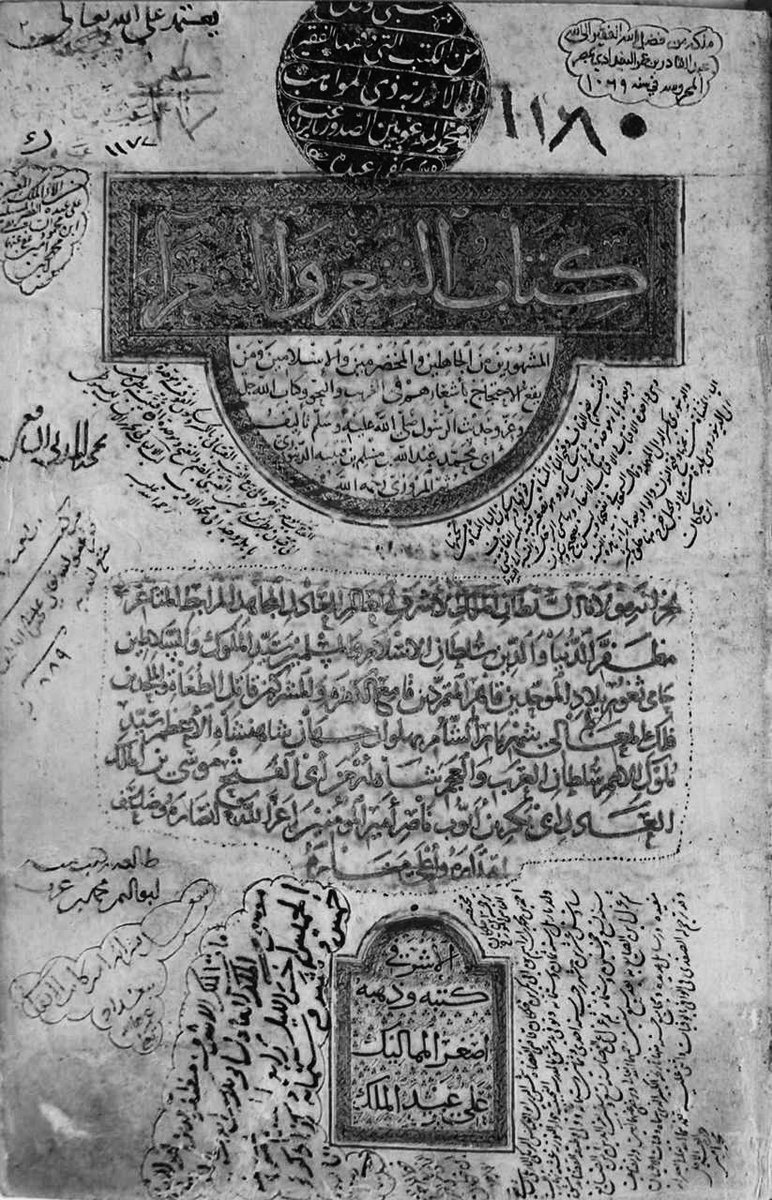 tamim506 tweet media