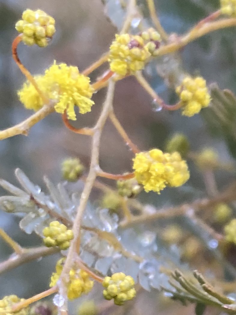 まるまる@お疲れちゃん tweet media