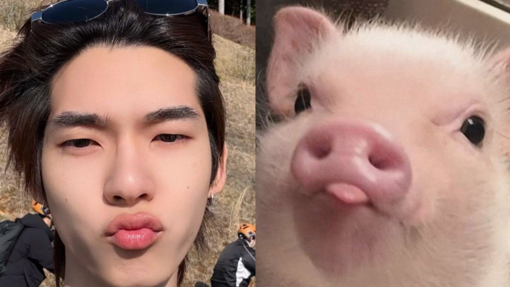 บู้ว 🐈‍⬛ ྀི tweet media