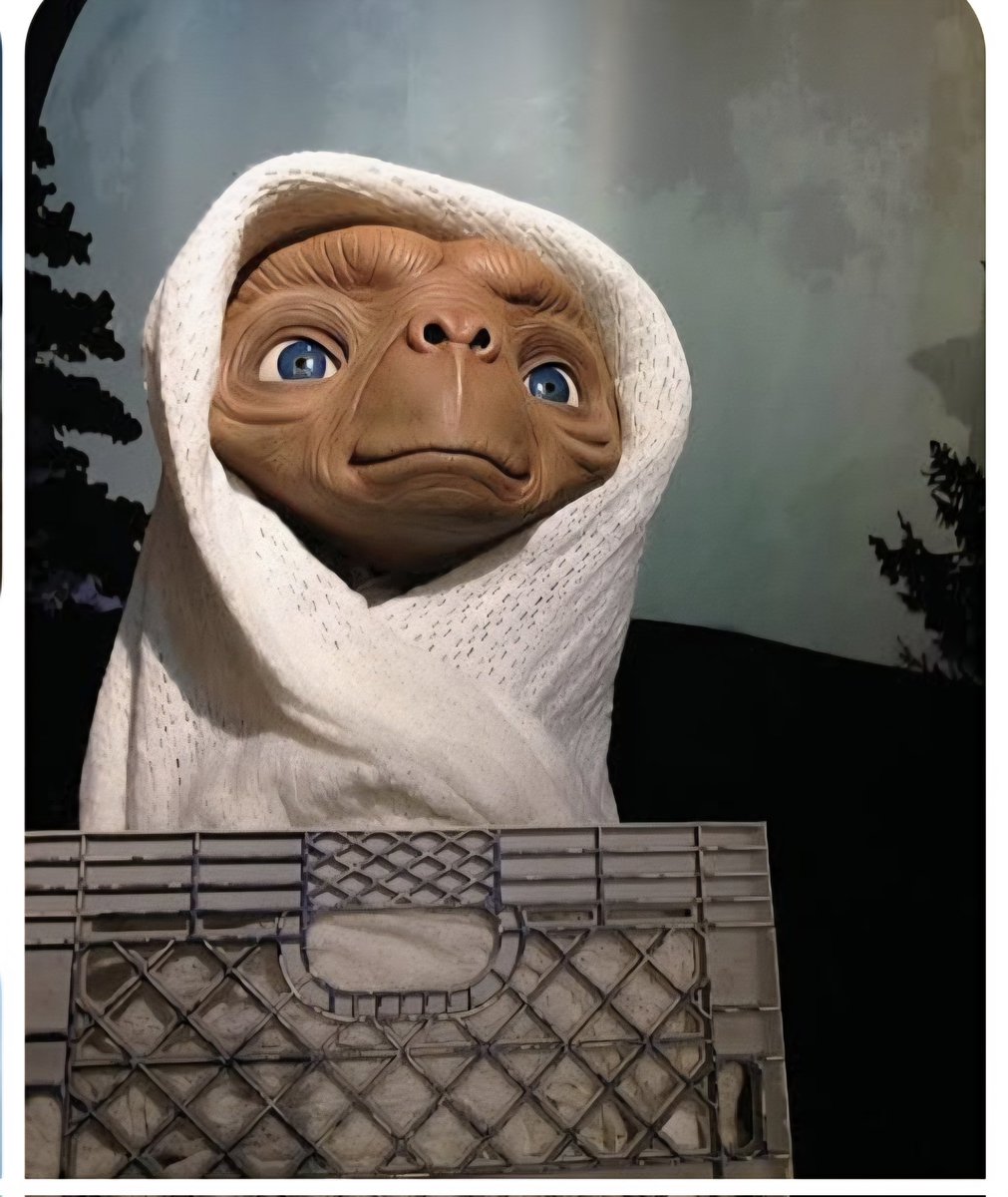 anabella tweet media