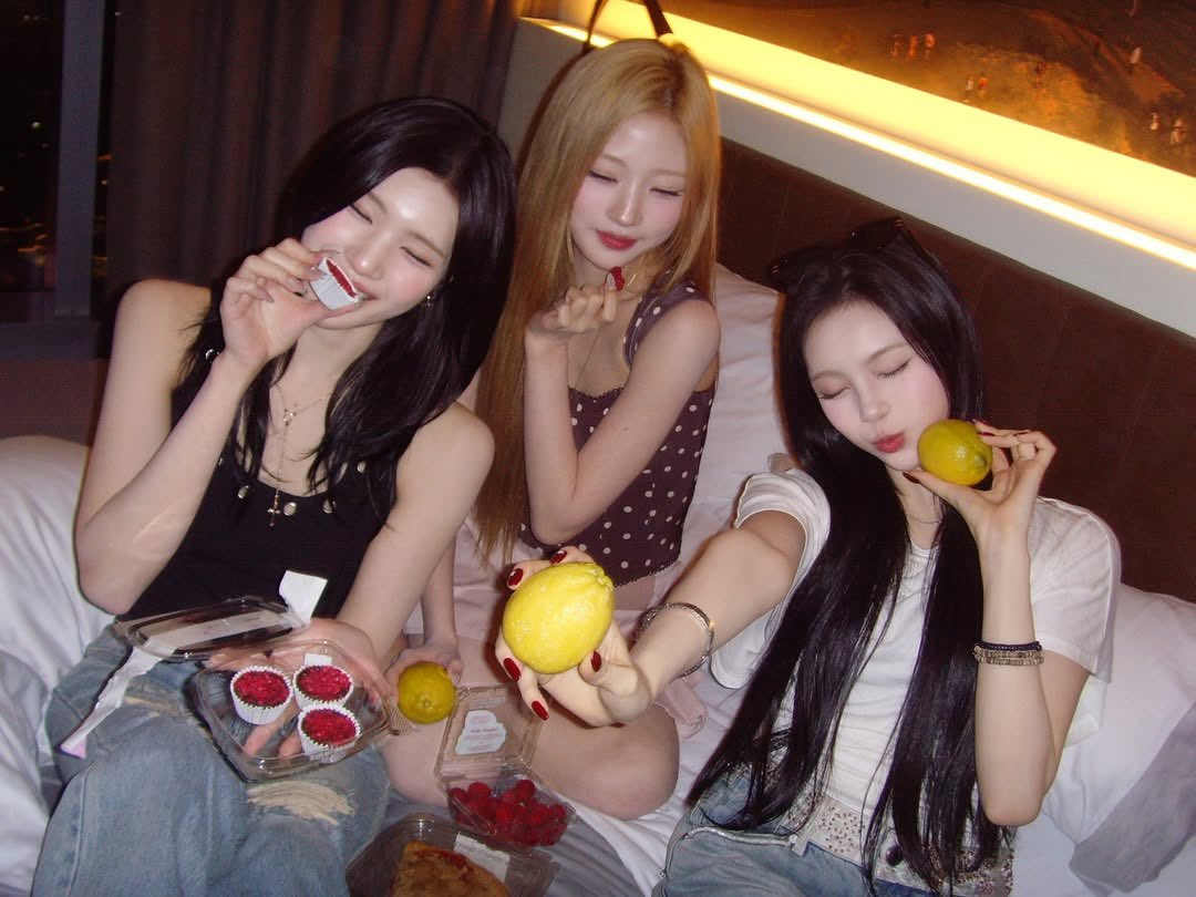 のらねこ tweet media