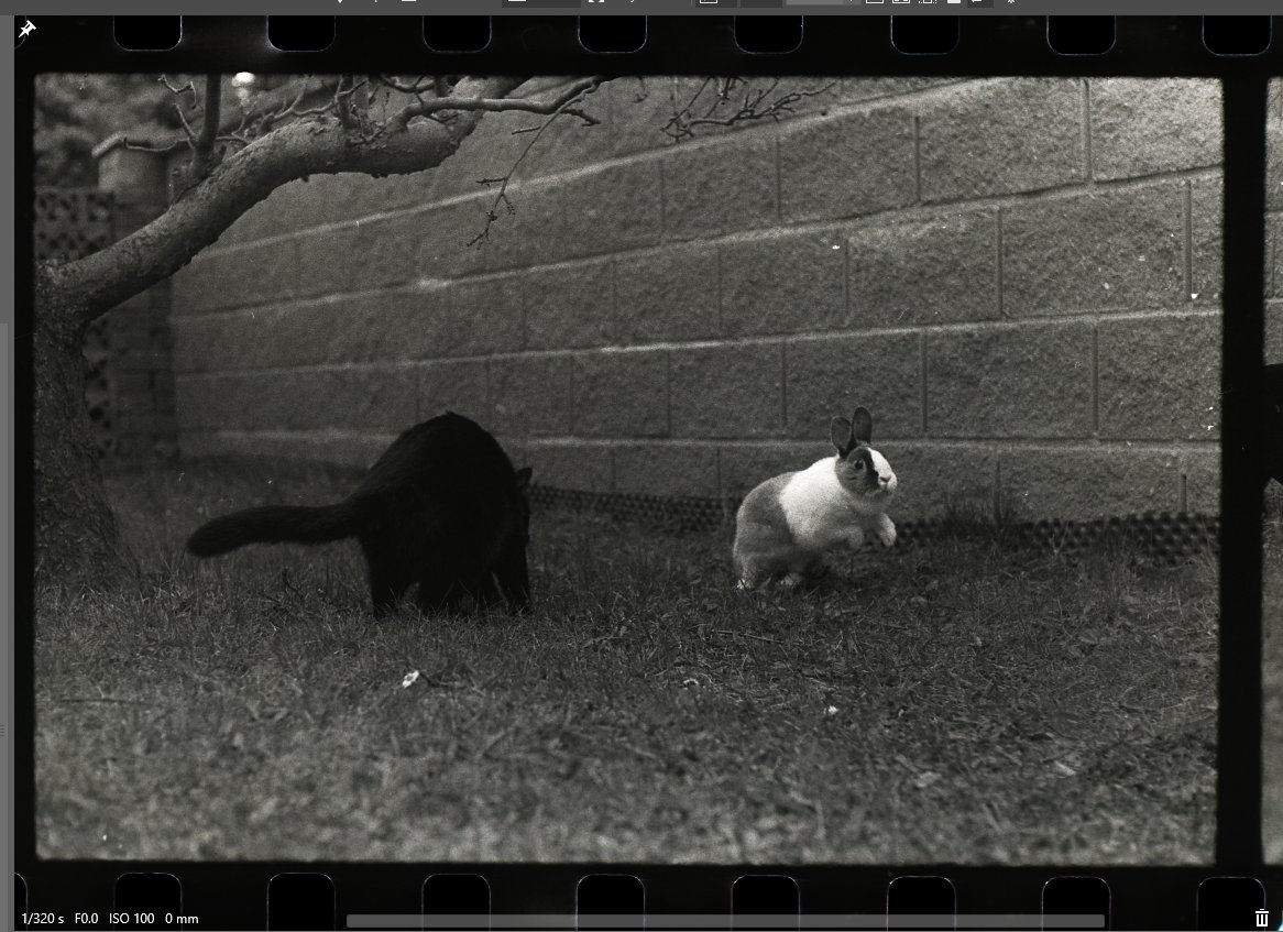 Petr Nečas tweet media