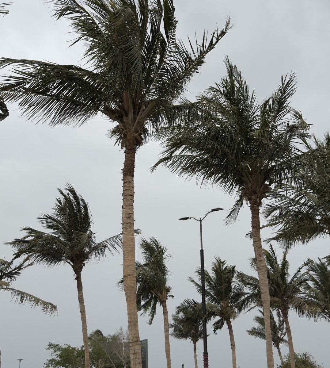 ‏ᥫ᭡ (@7itx_) on Twitter photo 