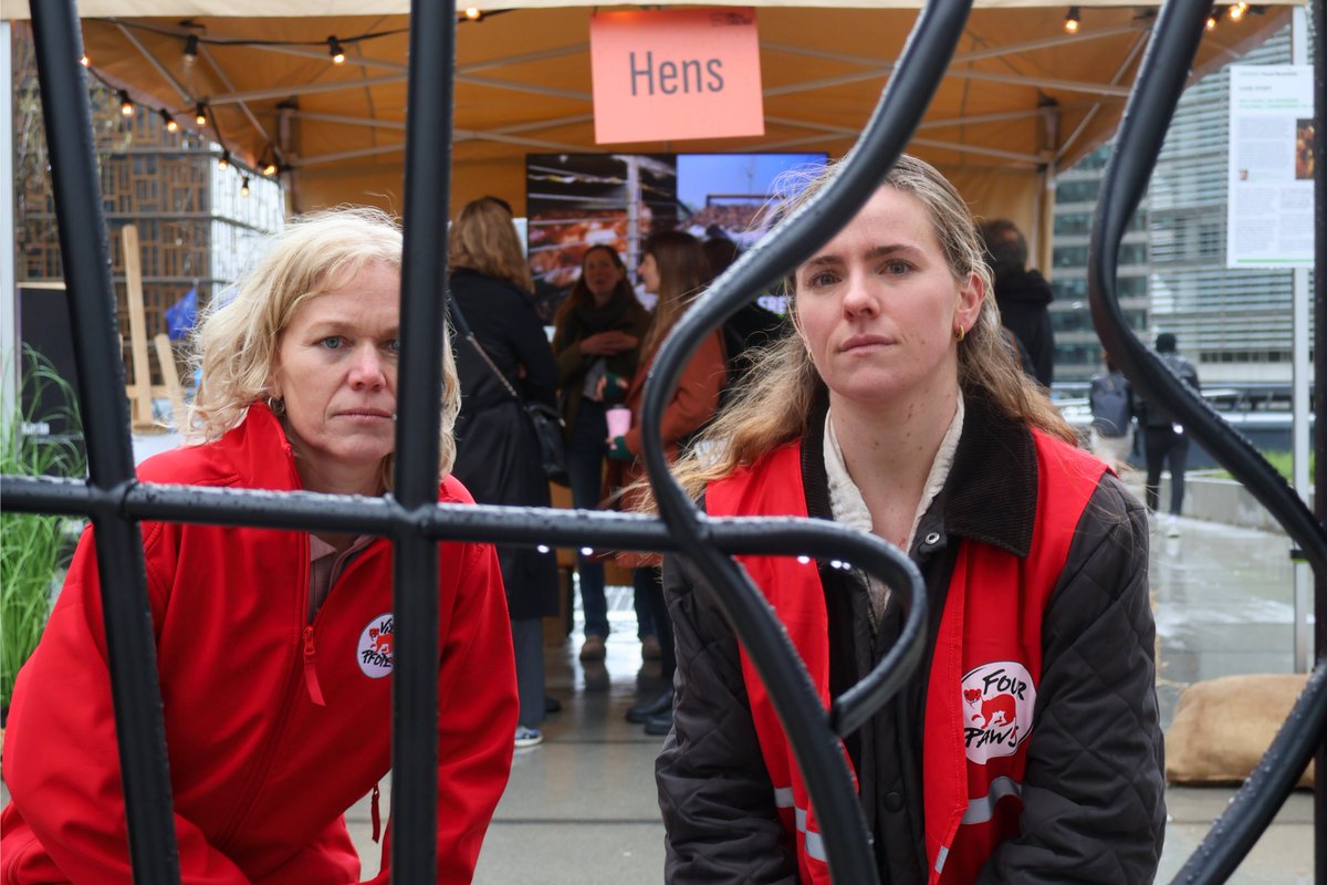 FOUR PAWS European Policy Office tweet media