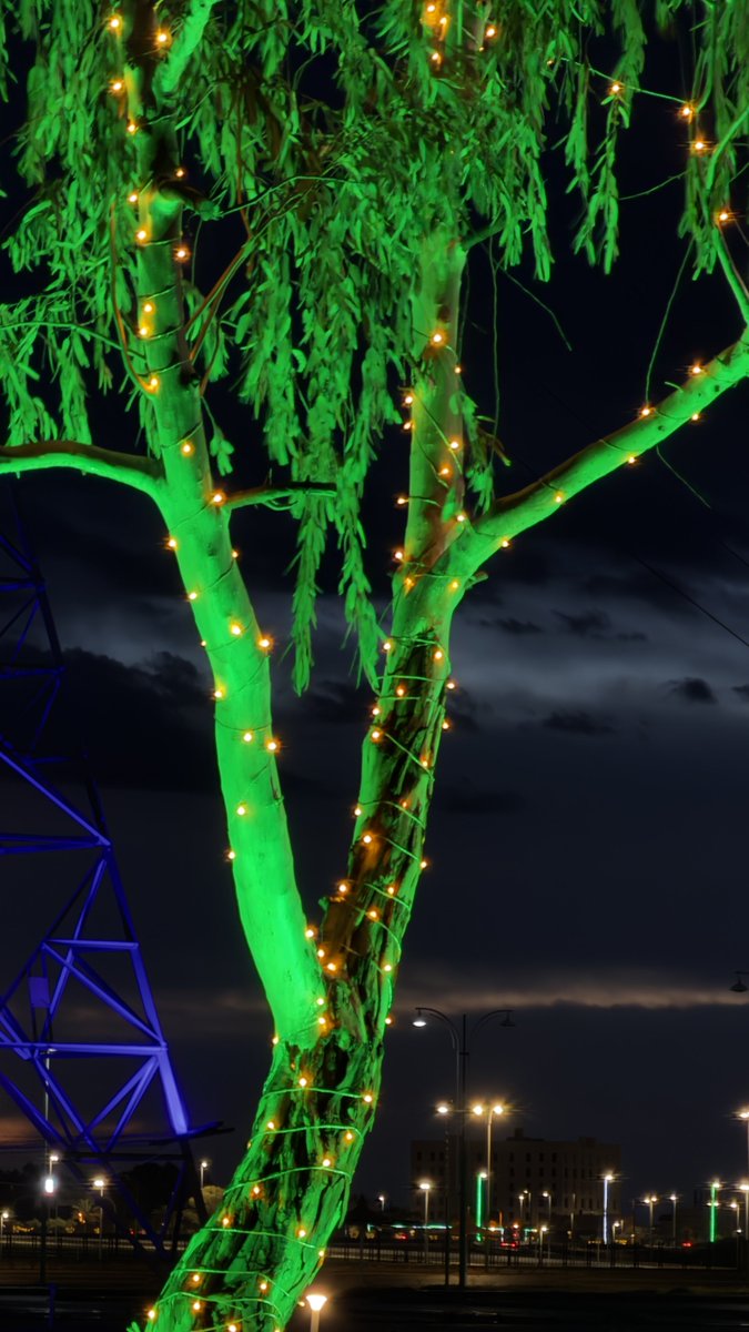 if not you,then who? tweet media