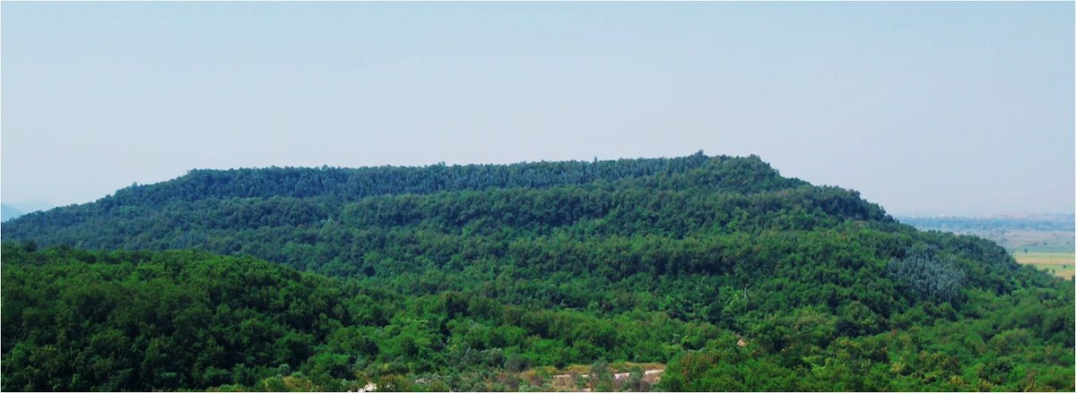 pargaien's tweet image. From grey to green! 🌱 
A remarkable 14-year transformation at Medipally OCP. Ramagunadam  Telangana. These two pics (2011 vs 2025) highlight #SCCL’s unwavering commitment to #environmental restoration by way of planting and #sustainable #mining. 
We don't just extract coal; we