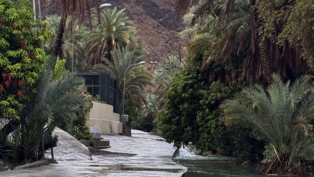 𝑁𝑂𝑂𝑅 tweet media