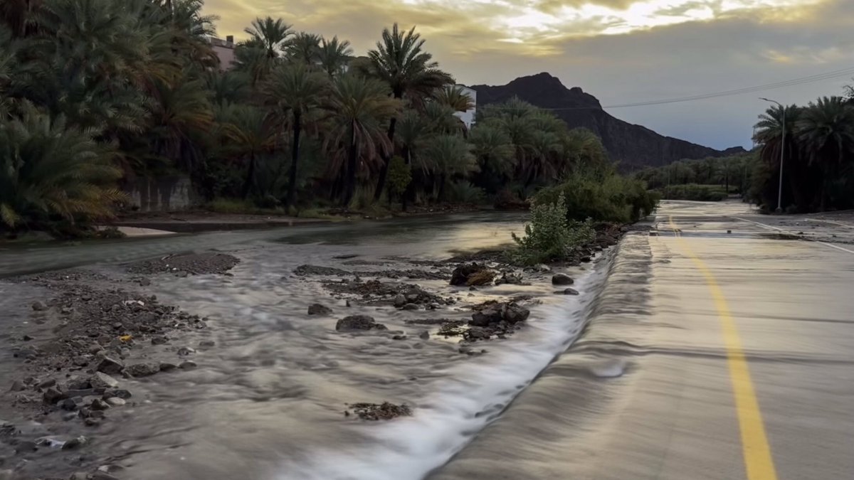 𝑁𝑂𝑂𝑅 tweet media