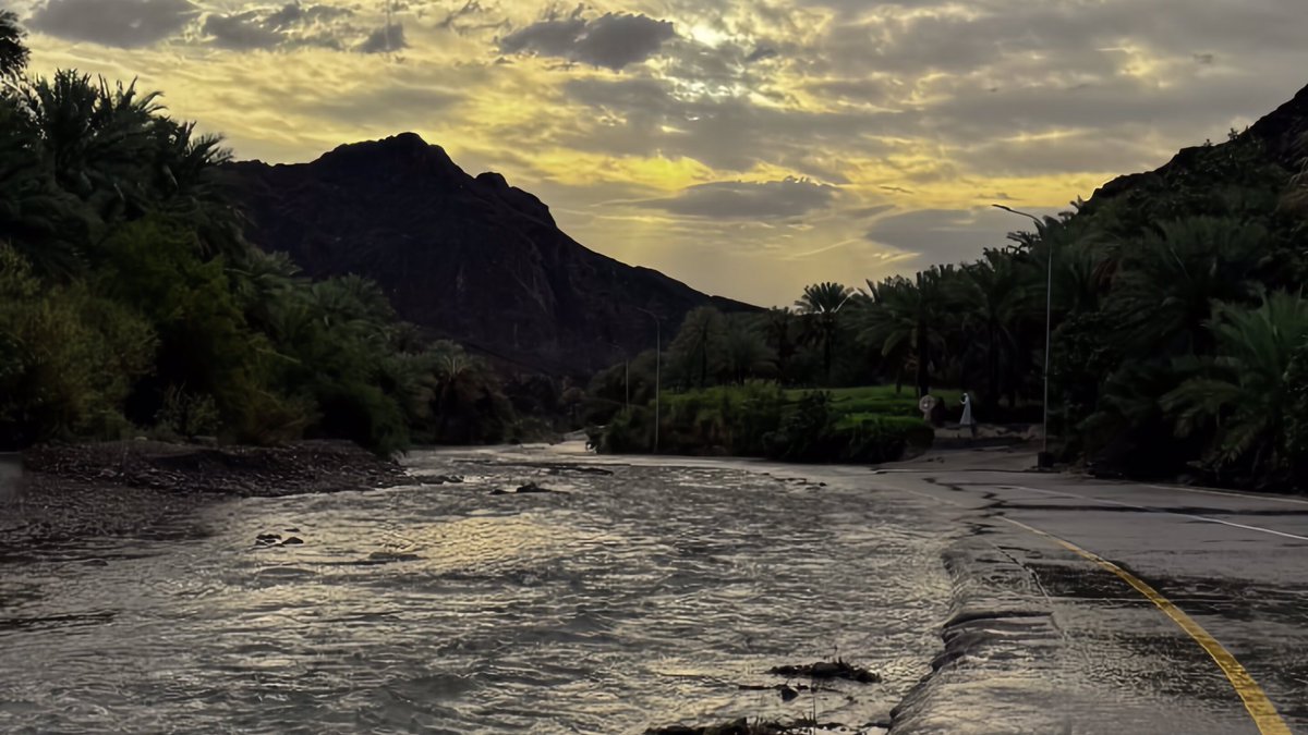 𝑁𝑂𝑂𝑅 tweet media