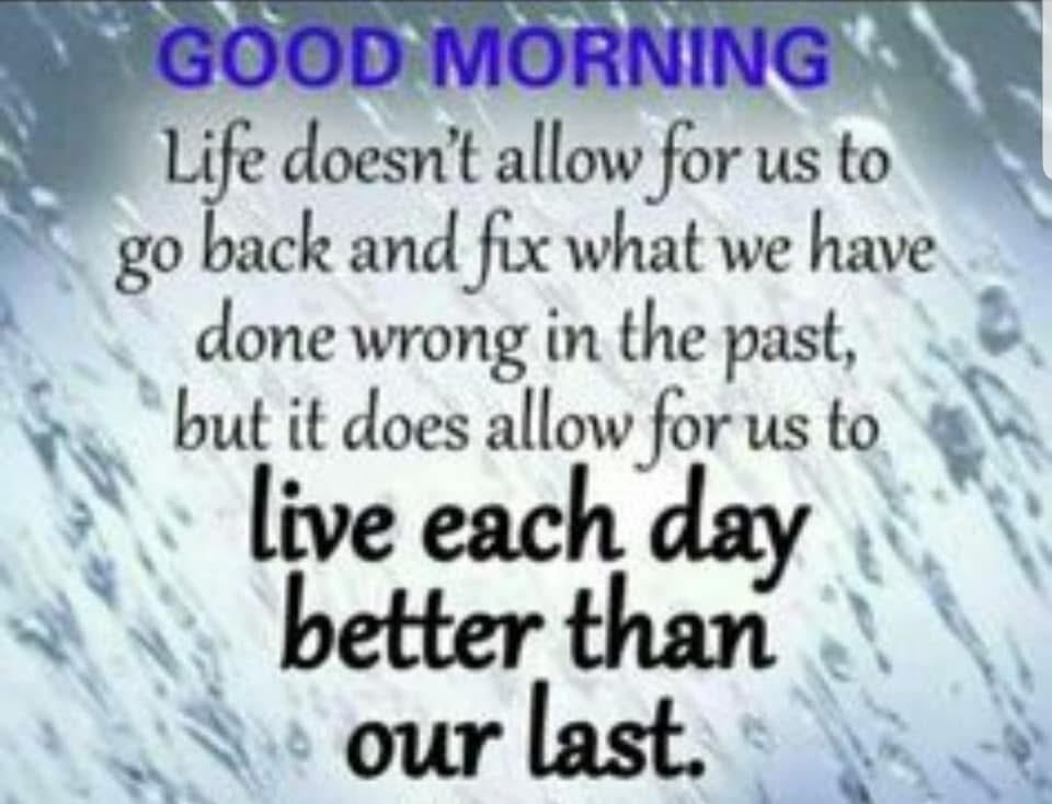 Vanessa C. tweet media