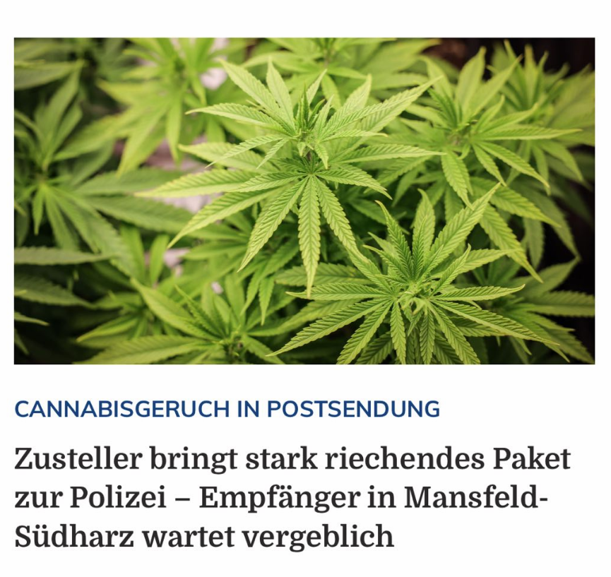 MarlaSvenjaL's tweet photo. Entweder roch es dem arabischen Zusteller zu #HARAM oder der deutsche Zusteller war vorbildlich als #Blockwart konditioniert. Was meint Ihr, welcher der beiden es war? #Denunziant https://t.co/qk5VCQVkW1