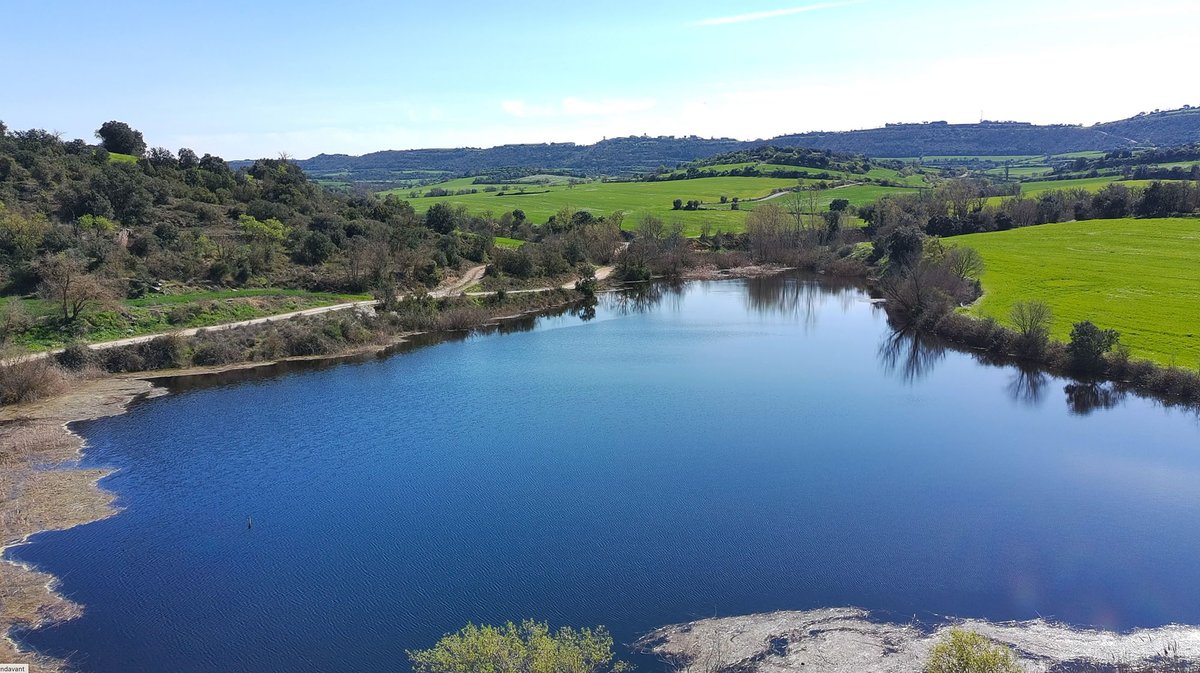 Som Segarra tweet media