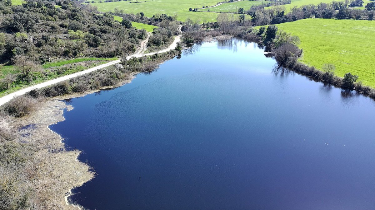 Som Segarra tweet media