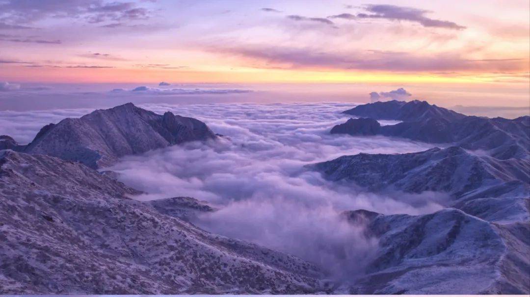 Edward Gosselin tweet media