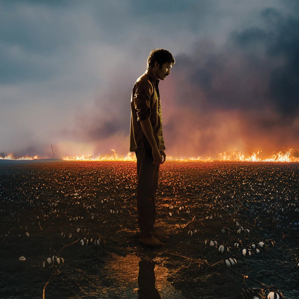 CinemaMeter tweet media