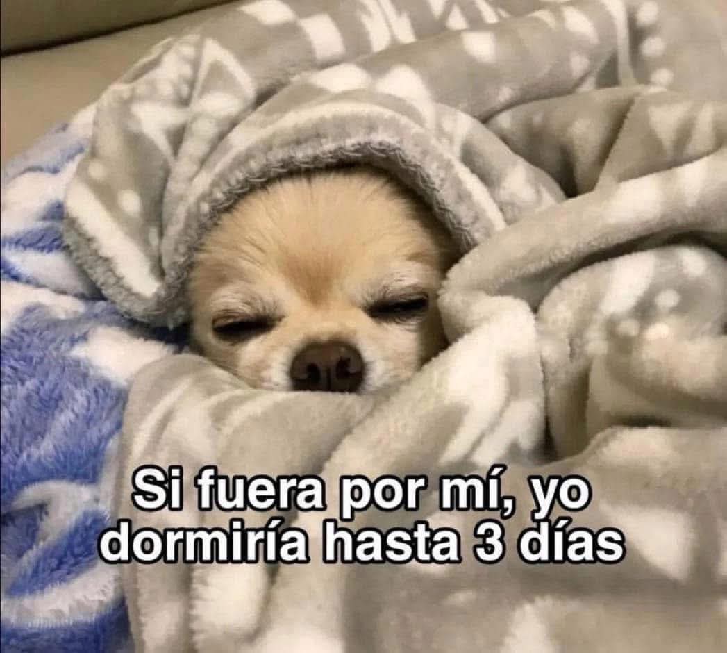 M O T I V A N D O T E (@m0tivand0te) on Twitter photo 