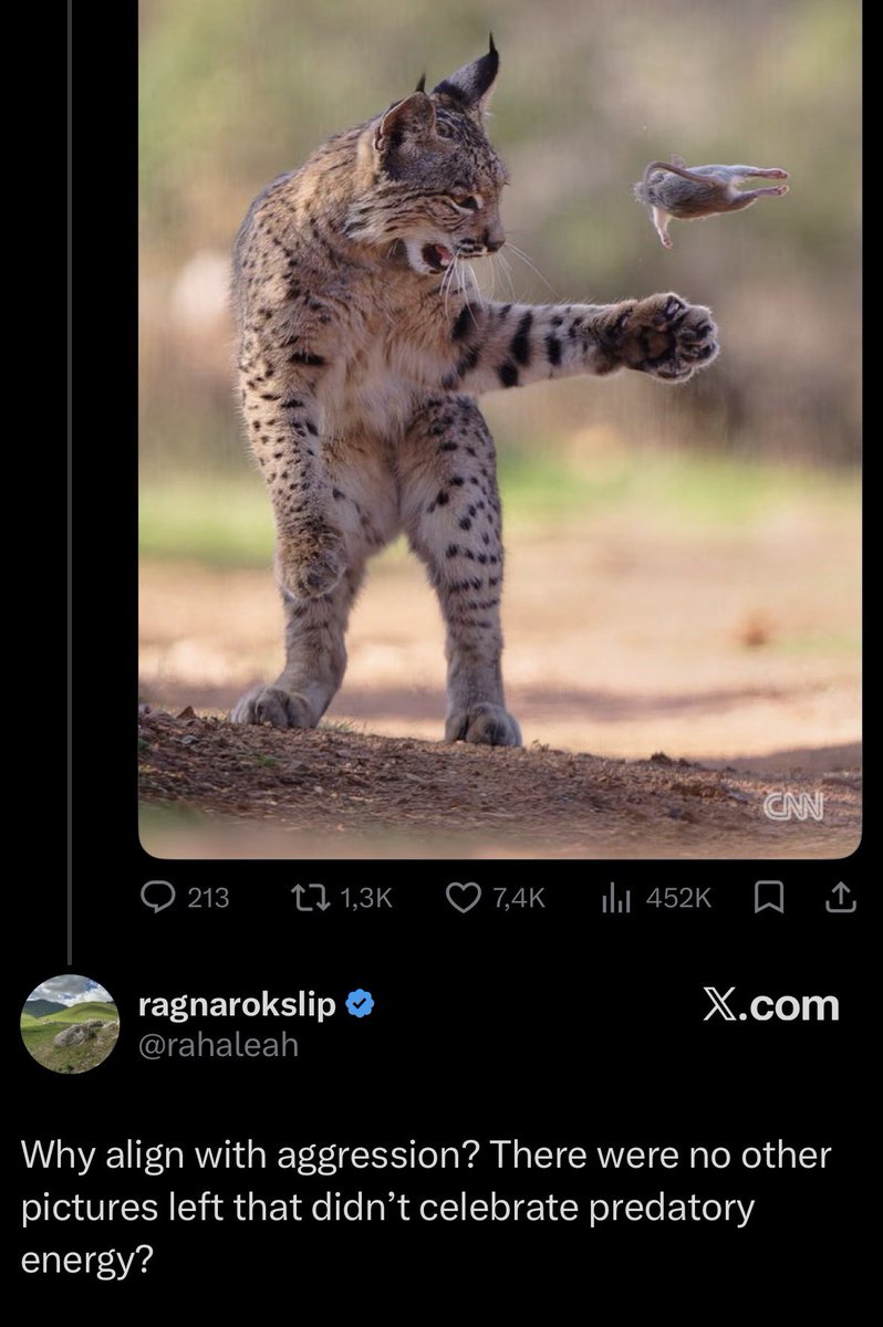 Rachmetow tweet media