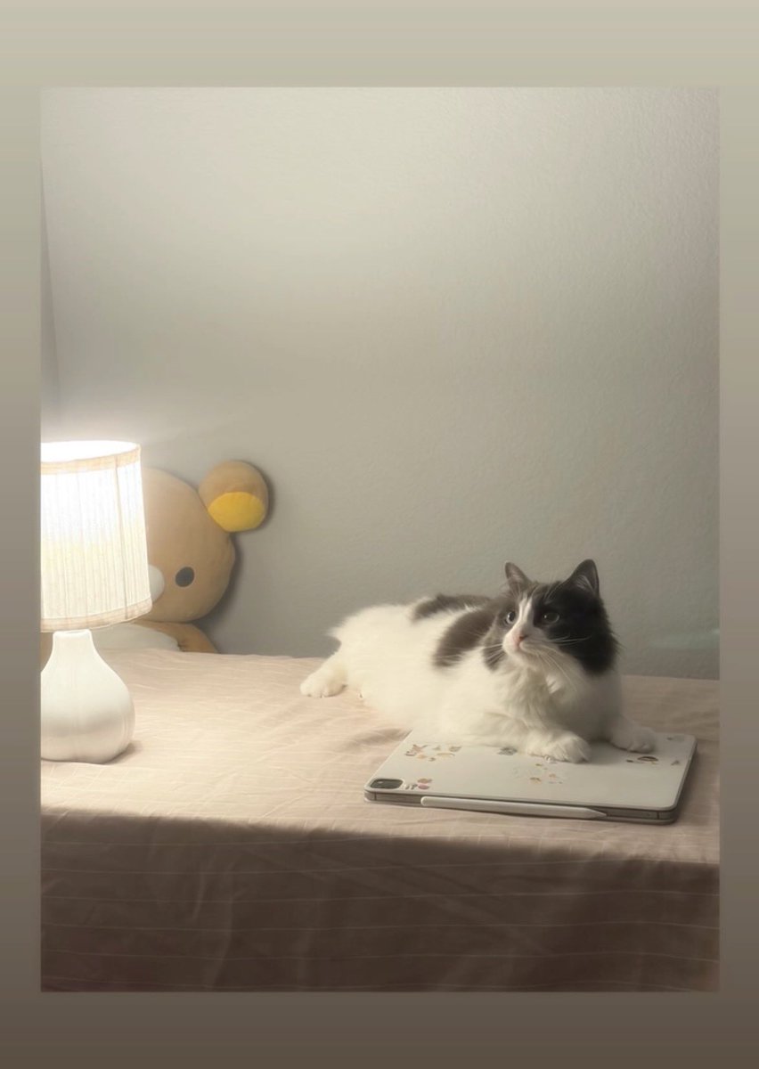 ‧͙⁺˚･༓☾ B Son ☽༓･˚⁺‧͙ tweet media