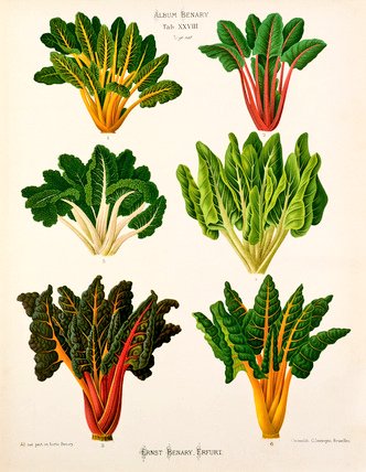 Jean-Marc Bèche tweet media