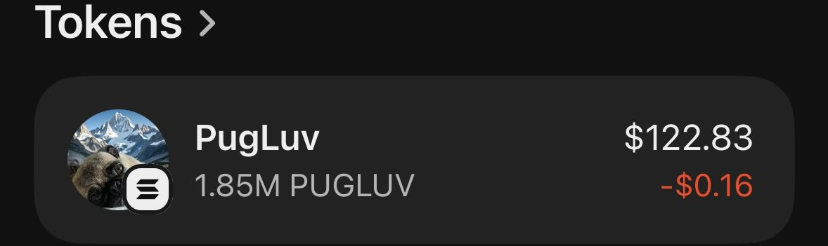 Pudgy XD tweet media