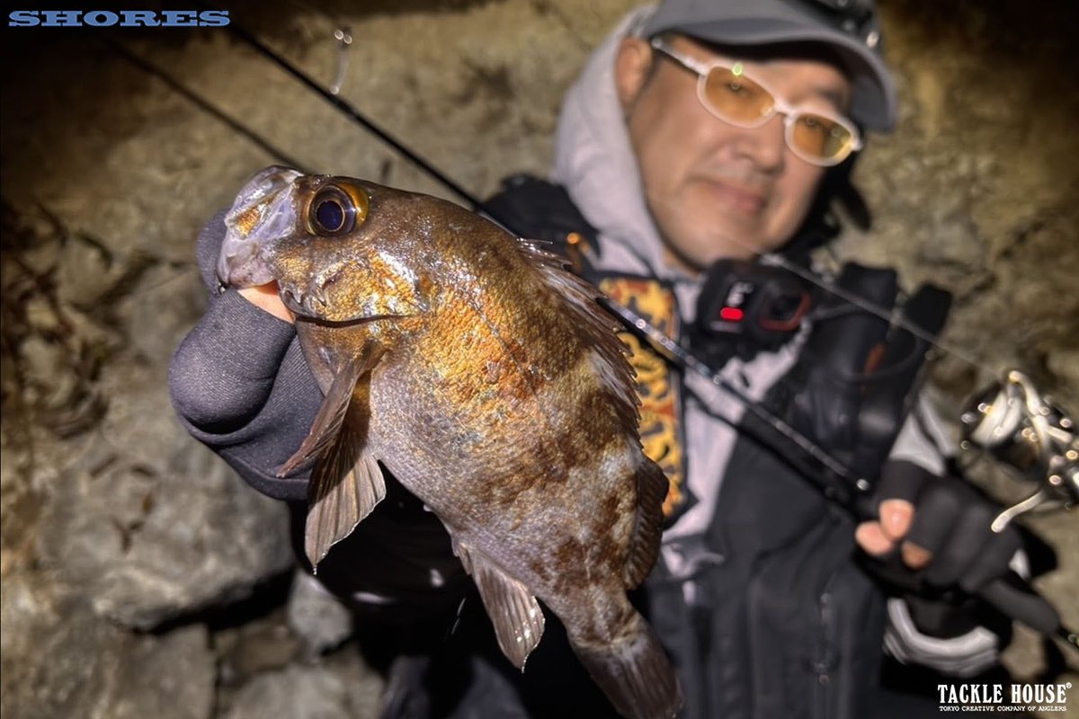 タックルハウス tweet media