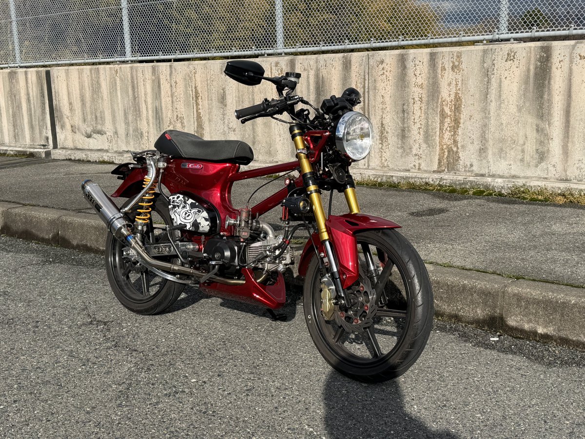 〆さるぼぼ〆 tweet media