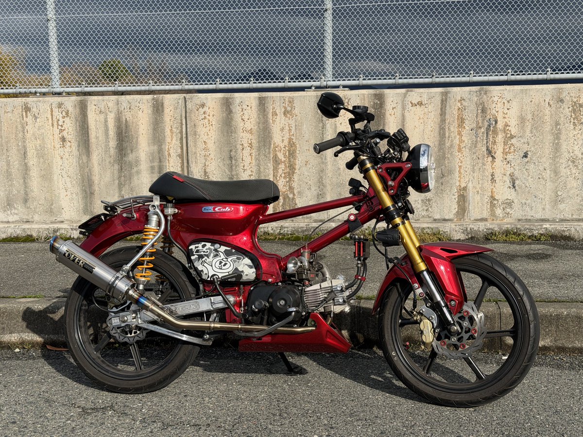 〆さるぼぼ〆 tweet media