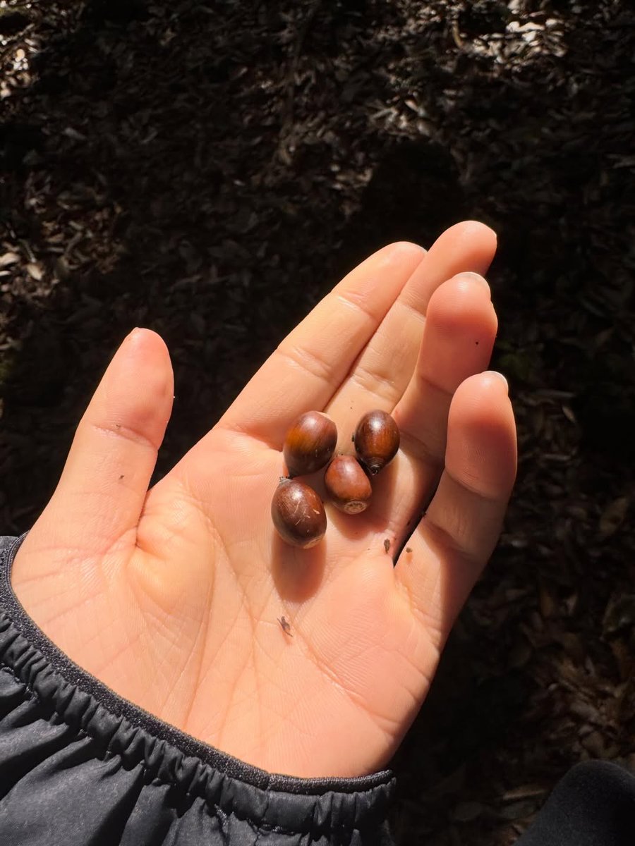 작은숲태리 tweet media