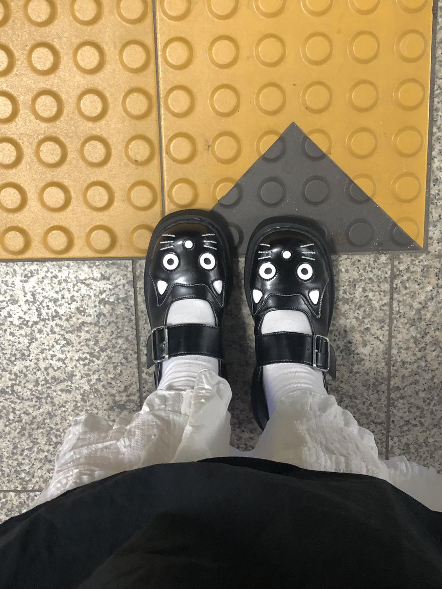 doo_room2's tweet image. 좋은 곳에 갈 때는 좋은 고양이 신발을 신는다