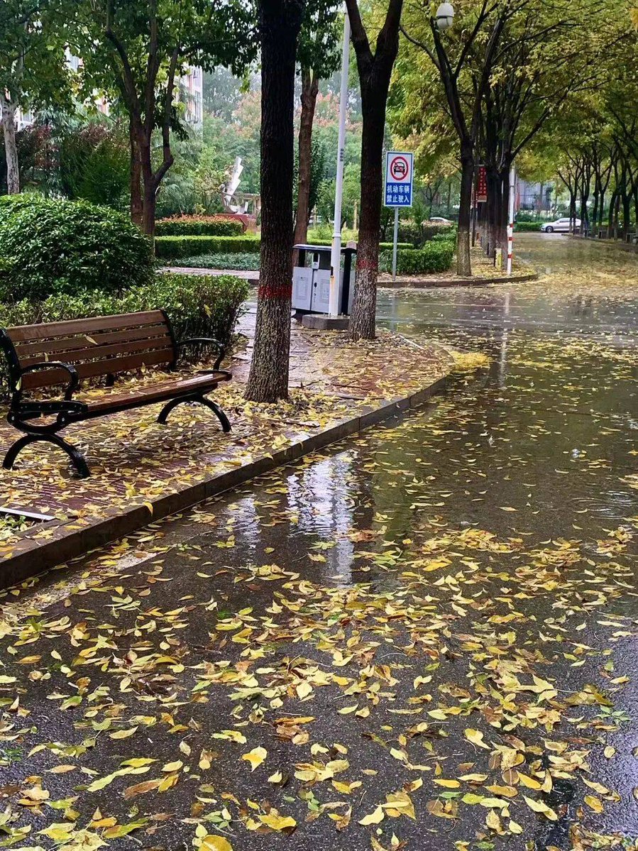 Teresa Marshall tweet media