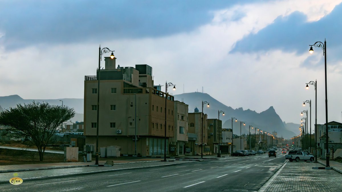 محمد بن أحمد الفريدي tweet media