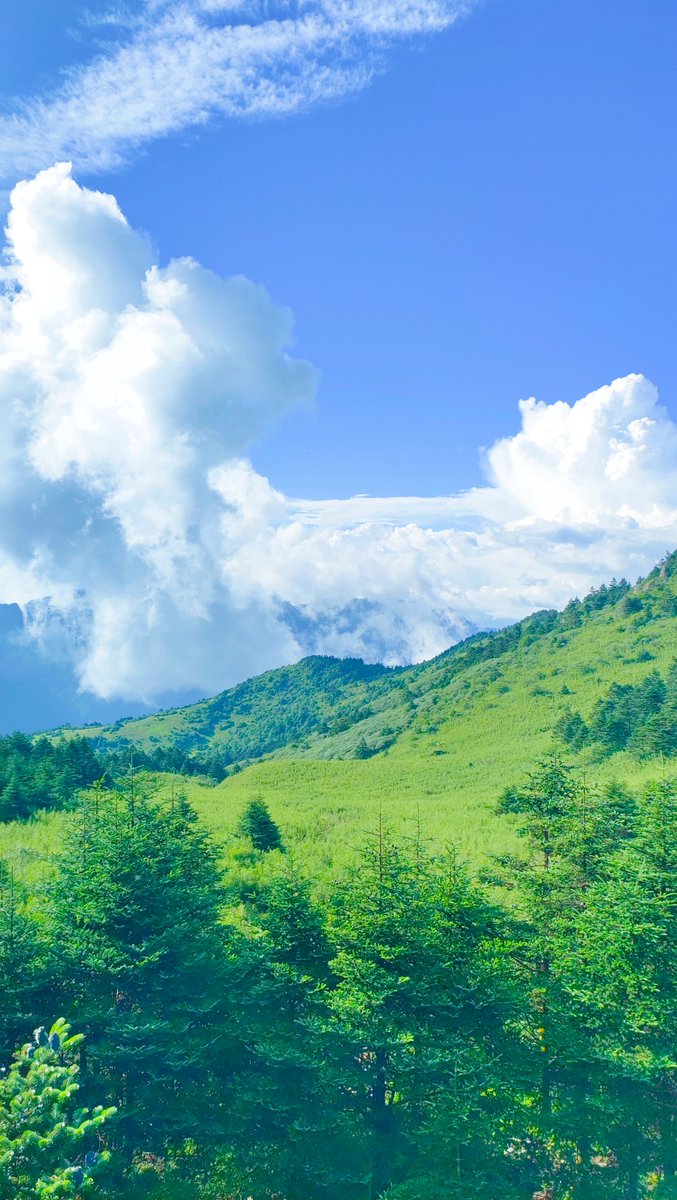 srisirin tweet media